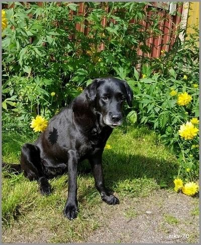 Oodi 11vuotta