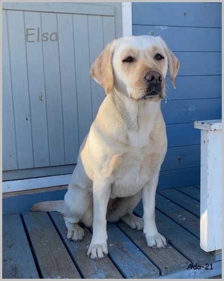 Elsa 2v